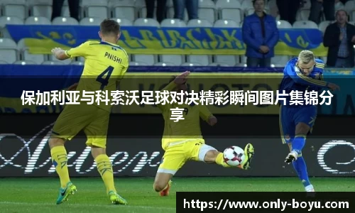 博鱼boyu体育官网